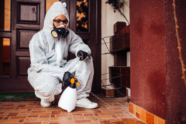 Reliable Wasp Removal contractor in Englishtown, NJ by Show Me Pest Control
